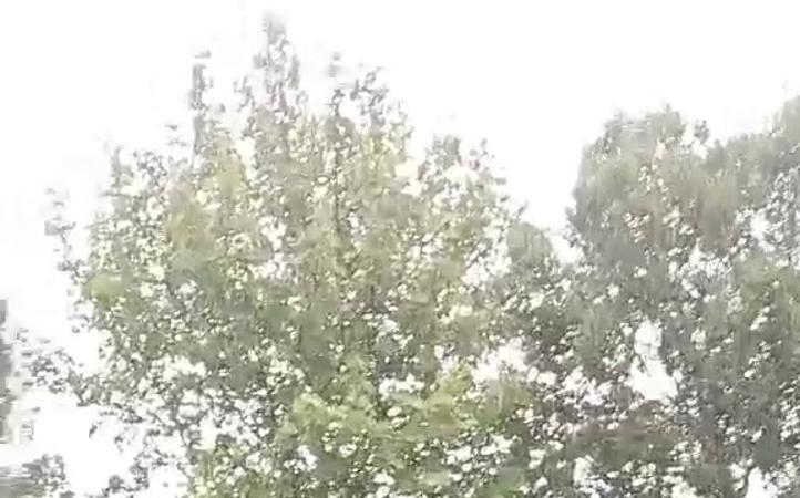 大兴玻璃钢电缆桥架价格
